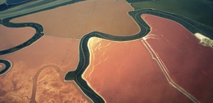 desert life from airplane windows
